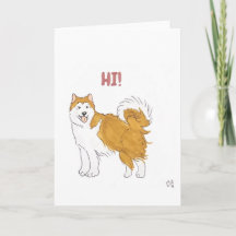 Hi - Dog Card