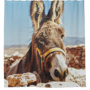 HI DONKEY SHOWER CURTAIN