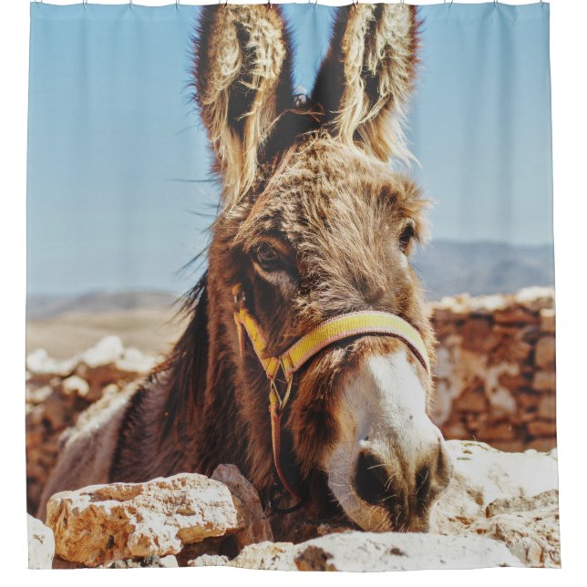 HI DONKEY SHOWER CURTAIN (Front)