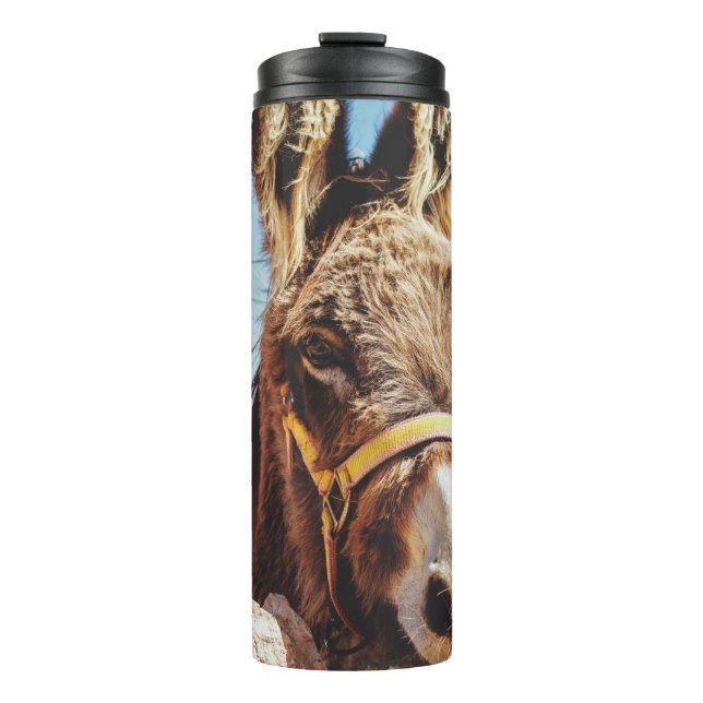 HI DONKEY THERMAL TUMBLER (Front)