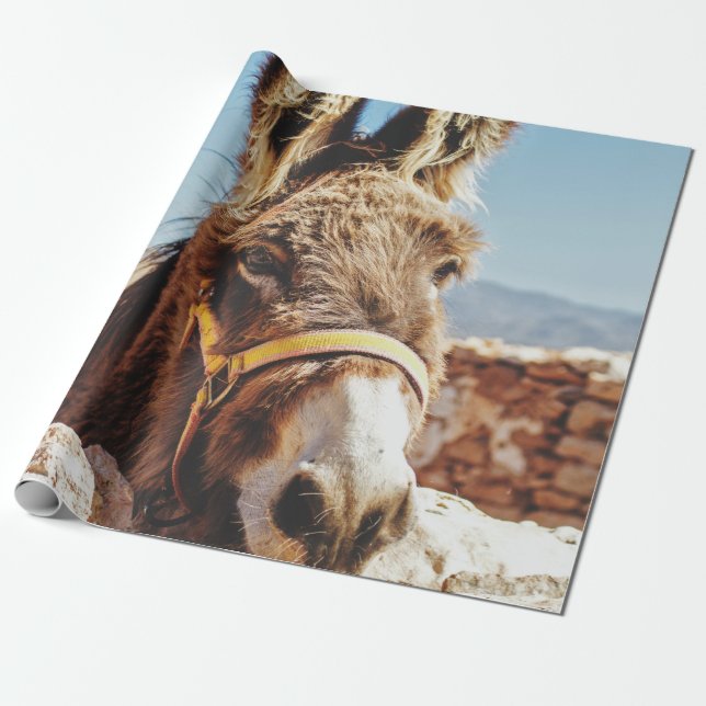 HI DONKEY WRAPPING PAPER (Unrolled)