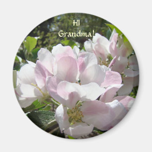 HI GRANDMA! Magnet Gifts APPLE BLOSSOMS Magnet