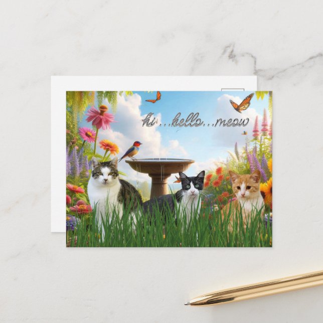 Hi Hello Meow / Cats in the Garden Cute Animal  Postcard (Front/Back In Situ)
