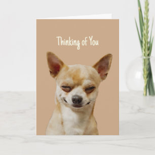 Hi Hello Thinking of You Funny Laughing Chihuahua  Card