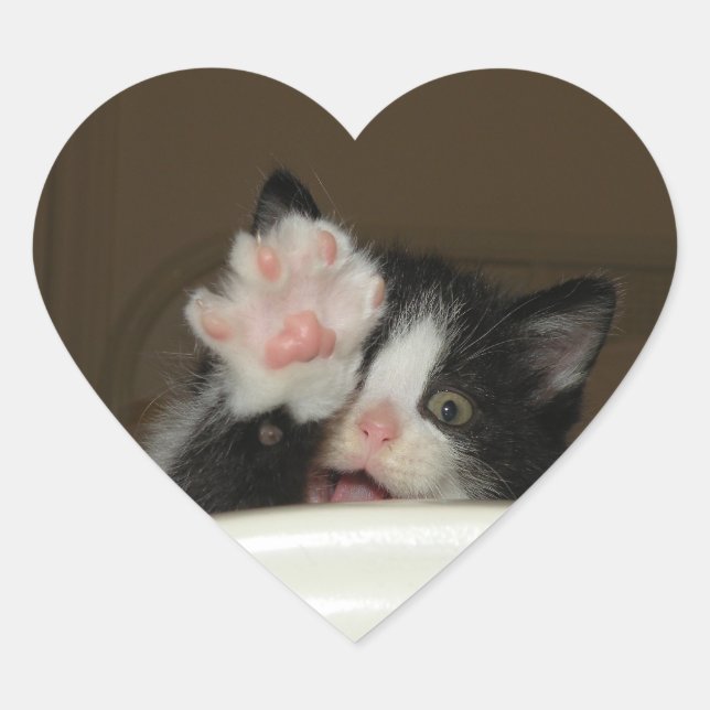 Hi kitten heart shaped stickers (Front)