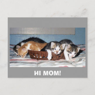HI MOM! POSTCARD