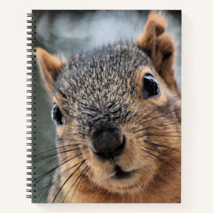 Hi Notebook