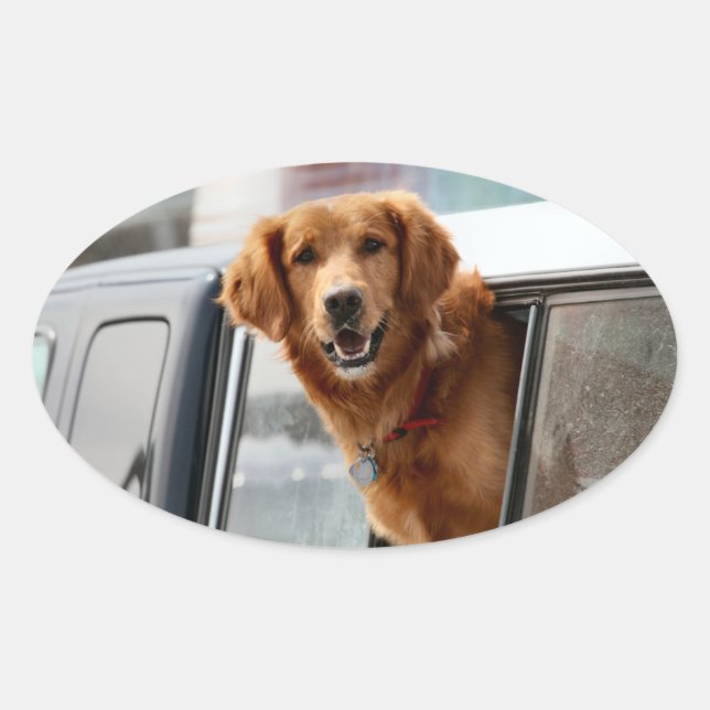 Hi Oval Sticker (Front)