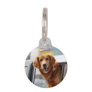 Hi pet tag