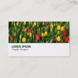 Hi-Phi - 003 - Tulips Business Card