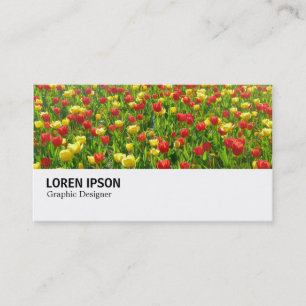 Hi-Phi - 0188 - Sea of Tulips II Business Card