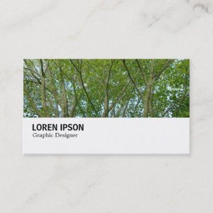Hi-Phi - 0249 - Japanese Maple Business Card