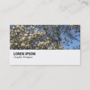 Hi-Phi - 0290 - Magnolia Tree in Blossom Business Card