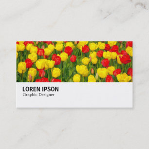 Hi-Phi - 037 - Red and Yellow Tulips Business Card