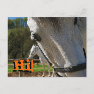 Hi! Postcard