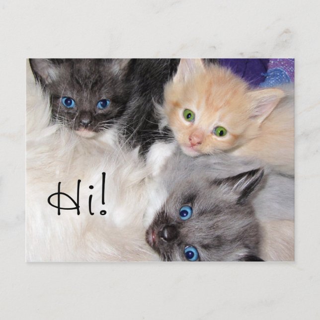 Hi! Postcard (Front)