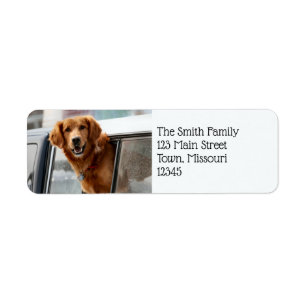 Hi Return Address Label