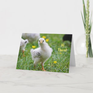 Hi There Baby Chick Happy Easter Holiday Card
