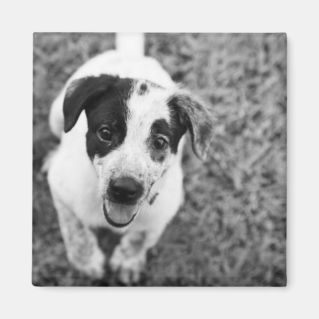 Hi there! magnet (Front)