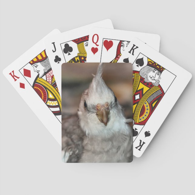 Hi there playing cards (Back)