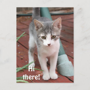 Hi there! postcard