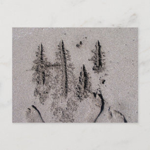 Hi! Written in Florida beach sand with footprints Postcard