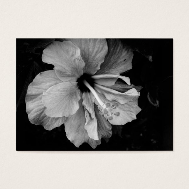 hibiscus (Front)