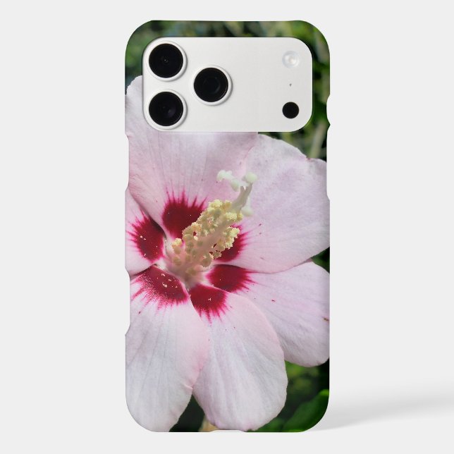 Hibiscus (Back)