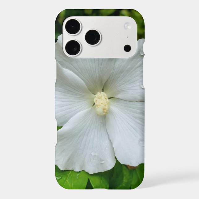 Hibiscus (Back)