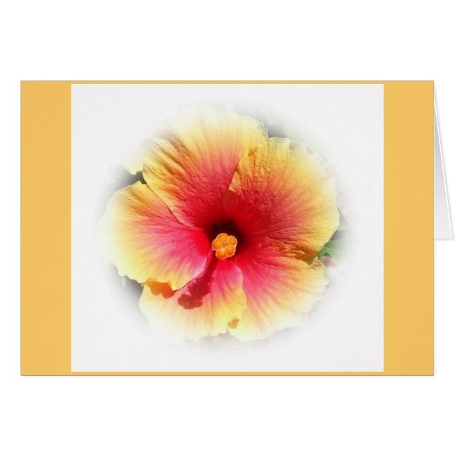 Hibiscus (Front Horizontal)