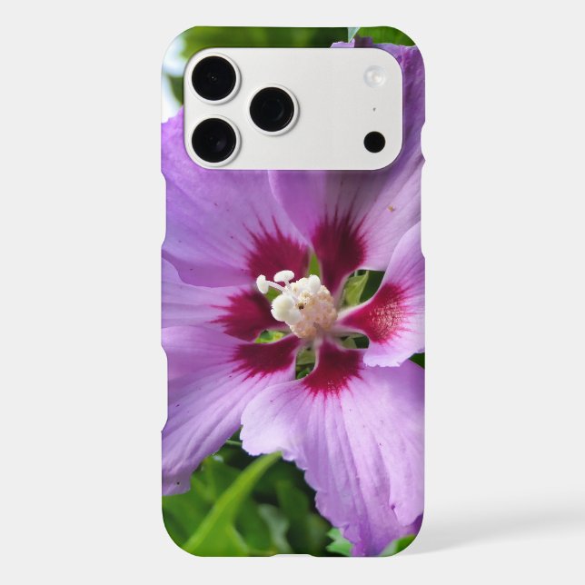 Hibiscus (Back)