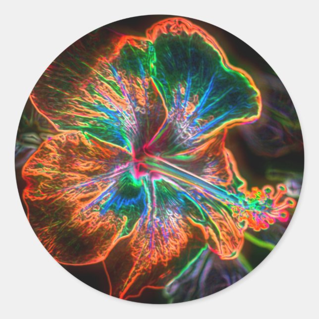 Hibiscus Abstract Flower Art Classic Round Sticker (Front)