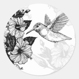Hibiscus and hummingbird classic round sticker