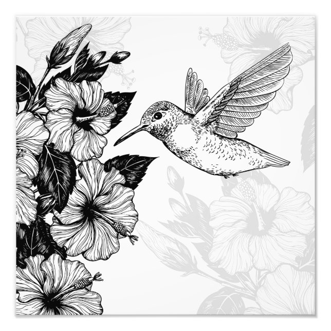 Hibiscus and hummingbird photo print (Front)