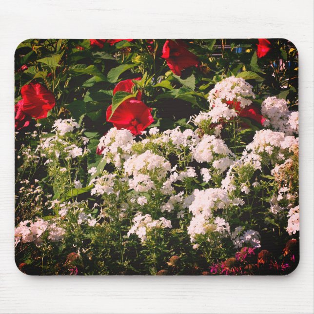 Hibiscus And Phlox Flower Garden Mouse Pad (Front)