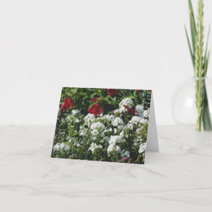 Hibiscus And Phlox Flower Garden Photography  Note Card