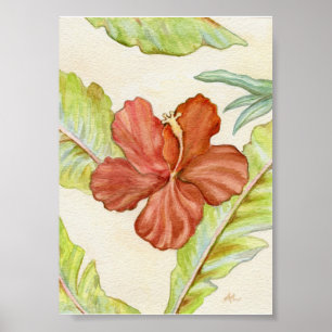 Hibiscus Art Print 5x7