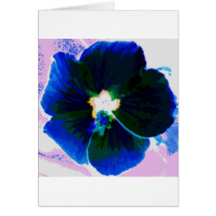 Hibiscus Azul