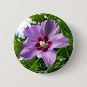 Hibiscus Badge