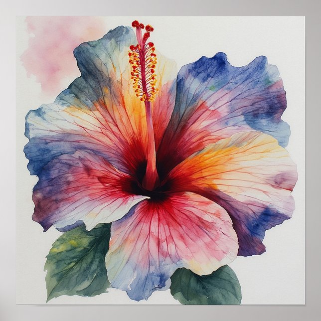Hibiscus Bloom Poster (Front)