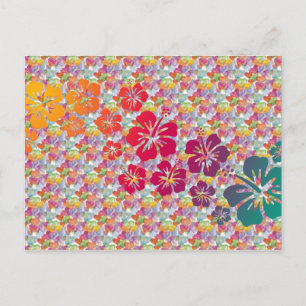 hibiscus blooms coloured heart pattern postcard
