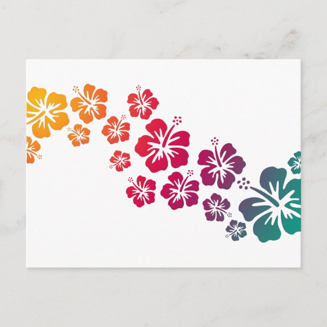 hibiscus blooms coloured postcard (Front)