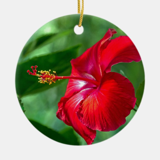 Hibiscus Blossom Ceramic Ornament (Front)