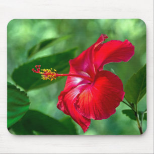 Hibiscus Blossom Mouse Pad