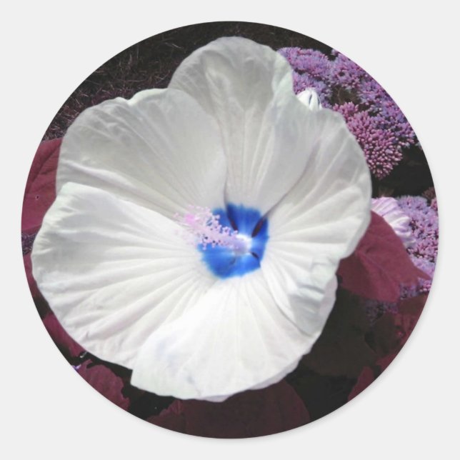 Hibiscus Blue Sticker- Customisable Classic Round Sticker (Front)