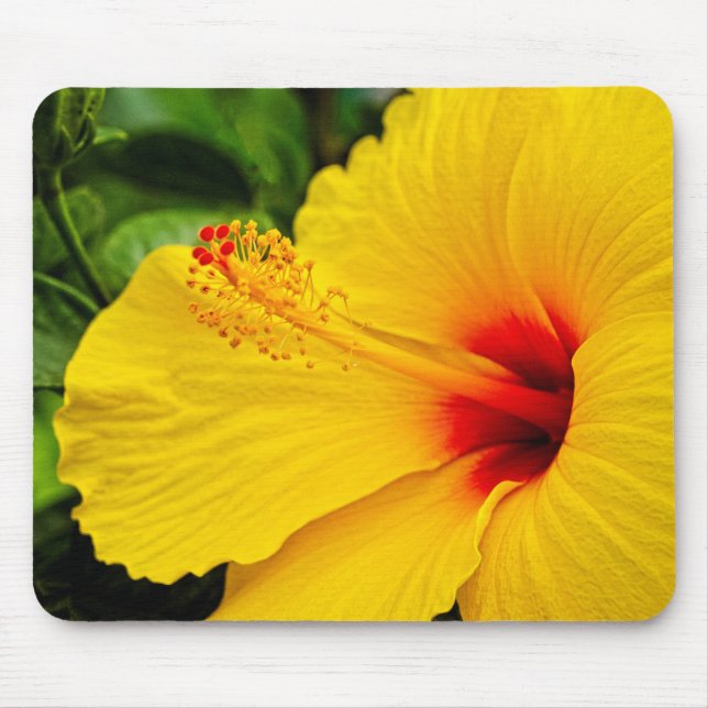 Hibiscus bright yellow mouse pad (Front)
