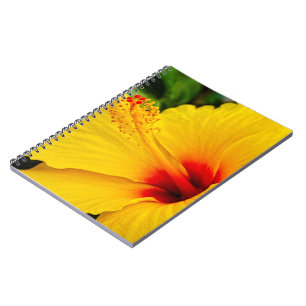 Hibiscus bright yellow notebook