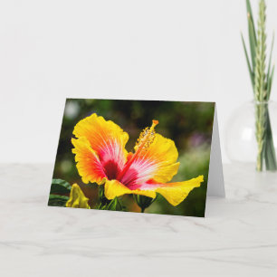 Hibiscus Bright Yellow with Red Heart Card