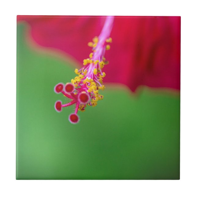 hibiscus ceramic tile (Front)