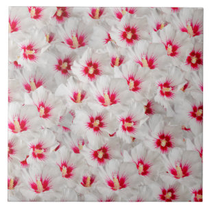 Hibiscus - Chinese Rose Flower Pattern Ceramic Tile